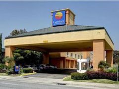 Comfort Inn and Suites 写真