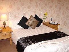 The Star Hotel 写真