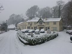 ザ クックー ブラウ イン 写真