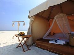 ソネバフシ 写真