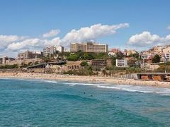 H10 インペリアル タラコ 写真