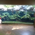 国営アルプスあづみの公園