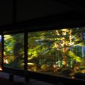 自然の額縁庭園