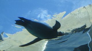 これは人気なのもわかりますね