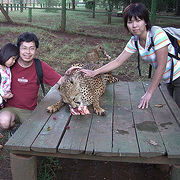 動物孤児院（ナイロビ国立公園横）The Animal Orphanage