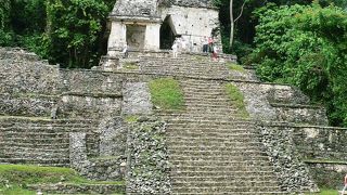メキシコ・パレンケ遺跡観光ツアー（２００６年５月１９日）