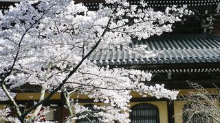 京都の南禅寺（２００７年４月６日）
