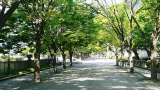 大阪のビジネスと文化の中心、中之島（２００７年４月２９日）