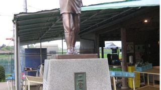 いちごの名産地！野菜が安く買えます。