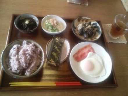 石垣島宿 はればれ 写真