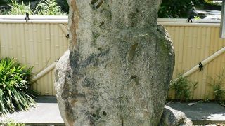 大阪の住吉公園の松尾芭蕉句碑（２００７年６月１２日）