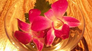 アジアンチックな建物で美味しいフレンチ（？）を堪能できます