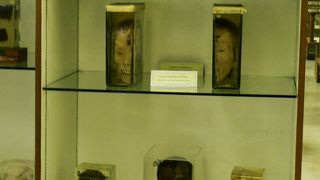 シリラート博物館 死体博物館 By Caz シリラート博物館のクチコミ フォートラベル シリラート博物館 死体博物館 By Caz シリラート博物館のクチコミ フォートラベル