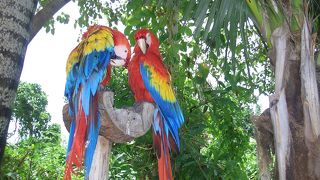 マリンパーク「シカレ」