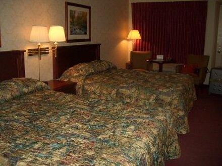 コンフォート ホテル エアポート 写真