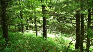 景色サイコー！ちょっとしたハイキング☆