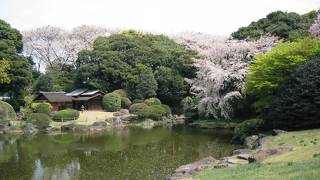 本館北側の庭園・茶室