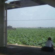 南岩国駅