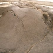 北淡震災記念公園のなかに、震災体験館や、野島断層保存館が、あります