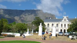 南アフリカ博物館