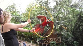 バード・パークでは是非これを！