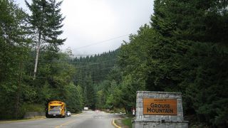 オトクな１Day ticket