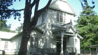 いつまでも飽きない北大植物園