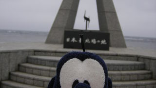 やっぱり強風なの・・・。