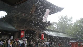 土砂降りの「筥崎宮」