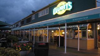 生カキを食べるならここ！