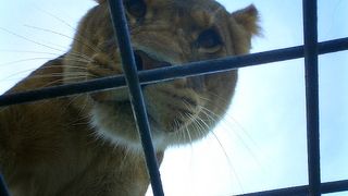 オラナ ワイルドライフ パーク