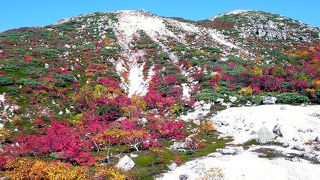 イワオヌプリへの登山道からの紅葉