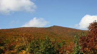 見事なスケールの全山紅葉