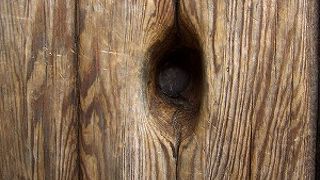 南大門の昔の鉄砲の弾丸