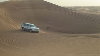 デザートサファリ