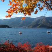 河口湖での紅葉祭