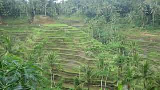 定番観光スポット