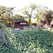 日本の歴史公園百選 天然記念物 名勝 三島市立公園「楽寿園」