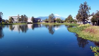 逆さ富士が見えるスポット