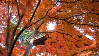 常寂光寺の紅葉