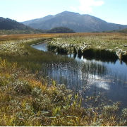 尾瀬　至仏山を望む絶景地