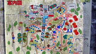 無料で利用できる本格的アスレチックを楽しむには体力が要ります