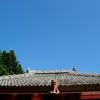 沖縄じもてぃー気分にひたれる宿です！