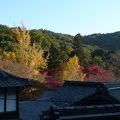 紅葉の名所、神峯山寺