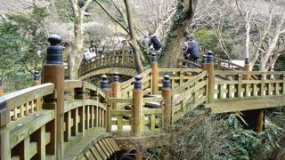 新春は日本一早い梅の花、暮れは日本一遅い紅葉が楽しめます