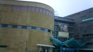 テパパ博物館-エキシビジョン