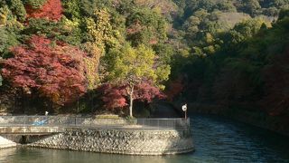 京都・宇治川の紅葉