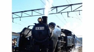 大井川鐵道では今でも毎日現役で蒸気機関車が走っています