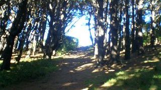 ロードオブザリングツアーinウェリントン