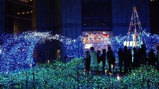 今年も東儀秀樹氏プロデュース♪”BLUE OCEAN”カレッタ汐留